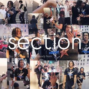 section (feat. 19thou) (Explicit)