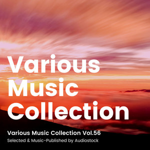 Various Music Collection Vol.56 -Selected & Music-Published by Audiostock-