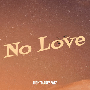 No Love (Explicit)