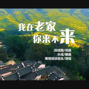 我在老家你来不来