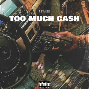 Too Much Cash (Explicit)