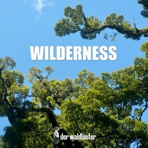 Wilderness