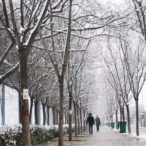 下雪啦