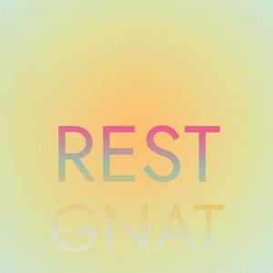 Rest Gnat