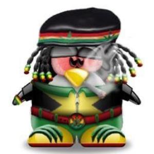 Always zooted (feat. uncensorable) (Explicit)