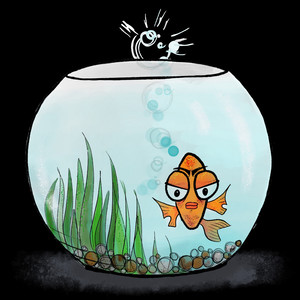 Fish Bowl