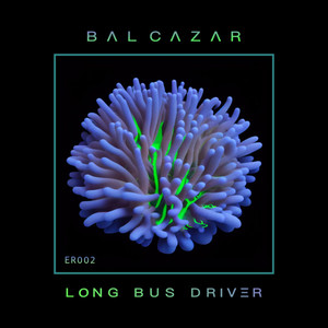 Long Bus Driver