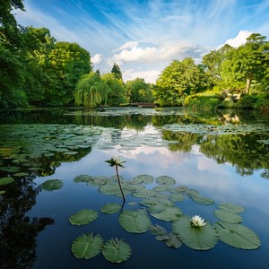 The Summits Of Reflection