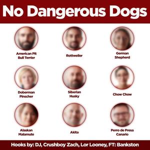 No Dangerous Dogs (feat. Bankston) [Explicit]