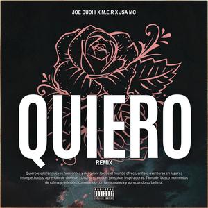 Quiero (feat. MER, JSA & Doppe Up) [Remix]