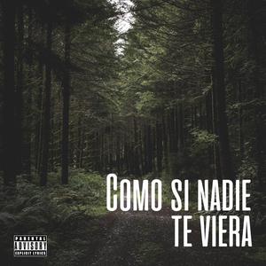 Como si nadie te viera (Explicit)
