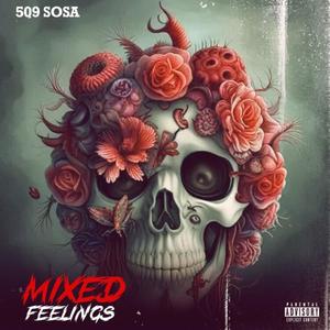 Mixed Feelings (Explicit)