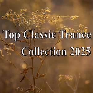 Top Classic Trance Collection 2025 (Explicit)