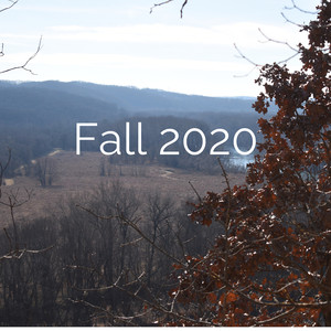 Fall 2020