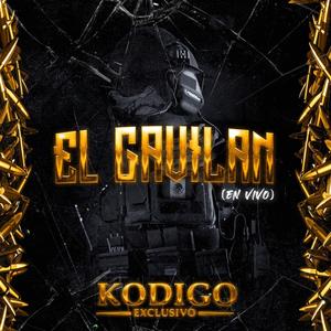 El Gavilan (En vivo) [Explicit]