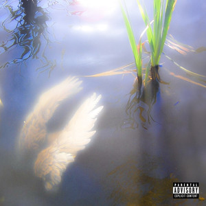 Una media en el micro