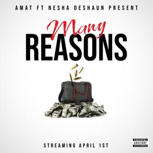 Many Reasons (feat. Nesha Deshaun)