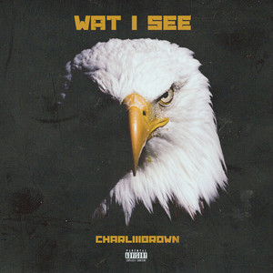 Wat I See (Explicit)