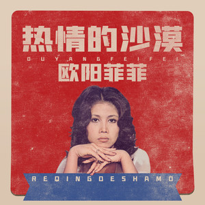 热情的沙漠 (电音版伴奏) - 欧阳菲菲封面