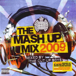 Mash Up Mix: 2009 Mixed by the Cut Up Boys