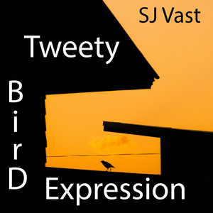 Tweety Bird Expression (Explicit)