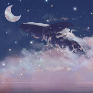 GreatWhite大白白 - 携星河如梦