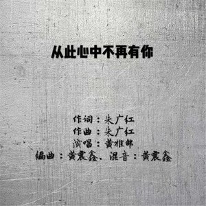 从此心中不再有你