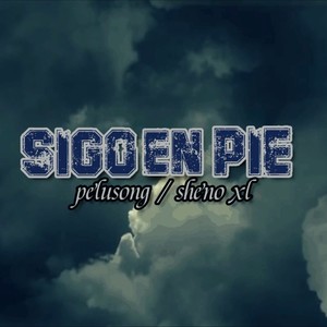 Sigo en pie (feat. pelusong) (Explicit)