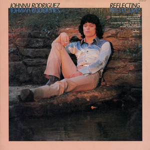 I Wonder If I Ever Said Goodbye