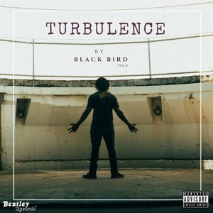 Turbulence, Vol. 2 (Explicit)