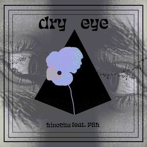 dry eye(feat. PAL)