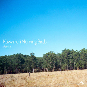 Kawarren Morning Birds