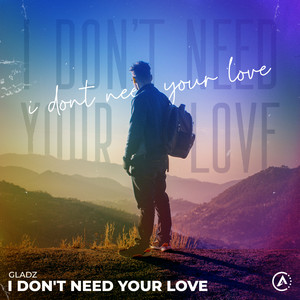 I Don't Need Your Love