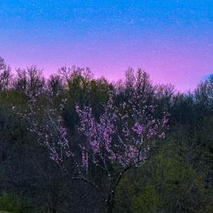 Overdue (feat. Clvr) (Explicit)