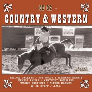 Country Hits Vol. 2