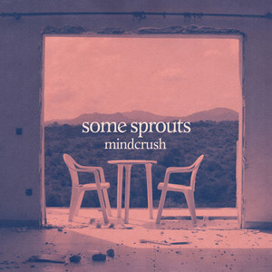 Mindcrush (Verzettelt Remix)