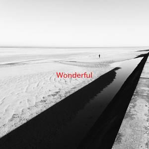 Wonderful (Karaoke tribute version originally performed by Gary Go)