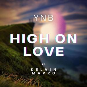 High On Love (feat. Kelvin Mapro) [Explicit]