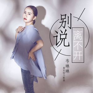 别说离不开 (伴奏)