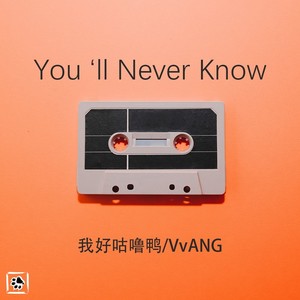 You'll Never Know