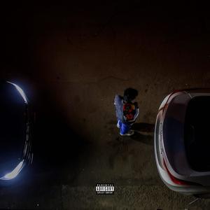 Did It Again (feat. TN Danger & The Plug WizzYLikeBabY) (Explicit)