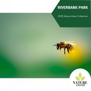 Riverbank Park - 2020 Nature Music Collection