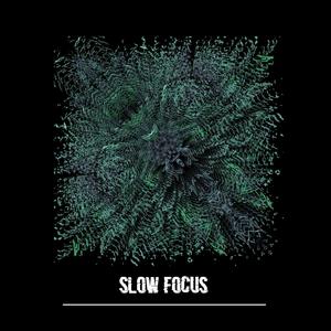 Slow Focus