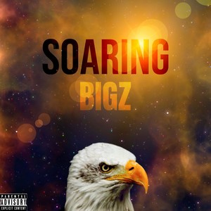 SOARING (Explicit)