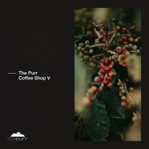 Light feat. VËR (Jelly For The Babies & Plecta Remix)