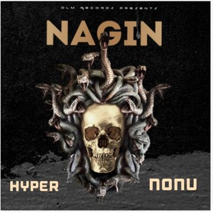 NAAGIN (Extended Version)