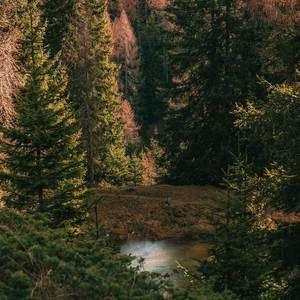 Kids Don't Be a Fool (Explicit)