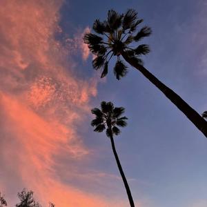 Money or Me (Explicit)