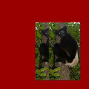 Nicotine (feat. Bunii & Kzoba) (Explicit)