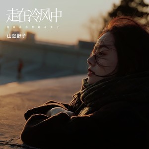 走在冷风中 (我以为你暂时走失了)